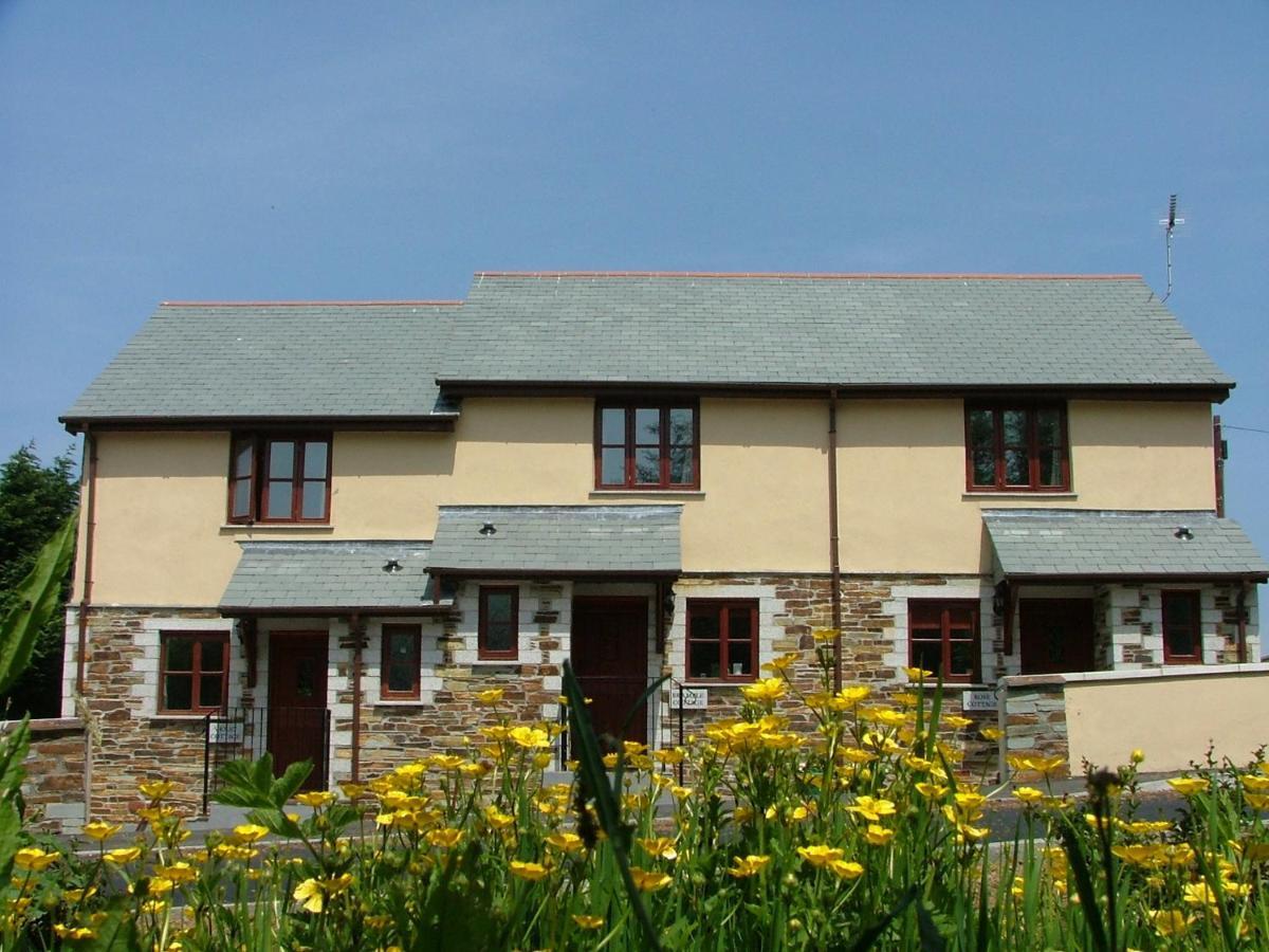 Rose Cottage Кемелфорд Екстер'єр фото